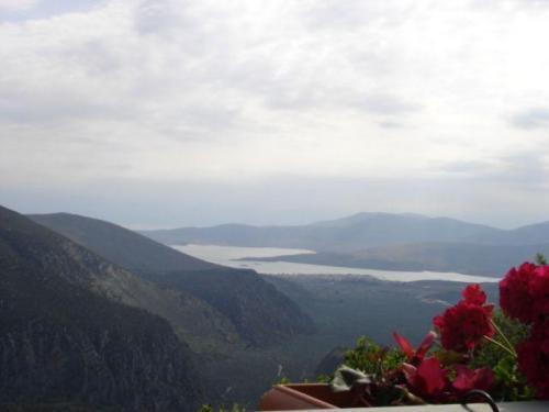 Sun View Guesthouse Delphi Ngoại thất bức ảnh